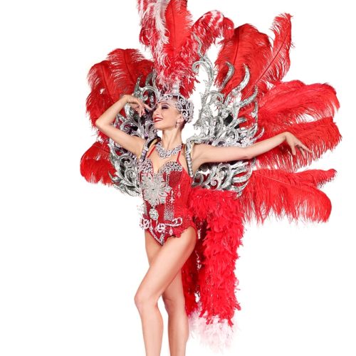 Перья на встречу гостей