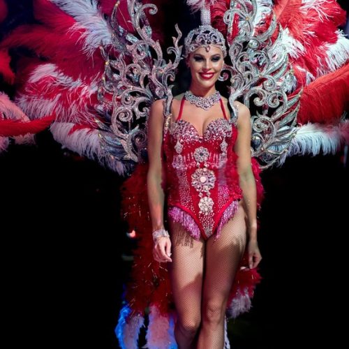 Артисты в перьях на встречу гостей Москва