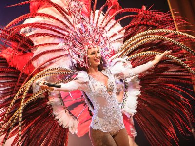 Шоу на новый год Москва